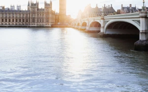 537449eb-af63-43cb-8fae-8f8ab5330146