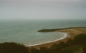 008ead43-0a85-4c8f-929c-48e278453c82