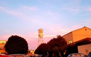 943b0340-5056-4eea-8052-984bf4263dcc