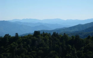 Knoxville Mcghee Tyson Airport