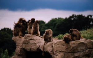 8314948e-209a-427f-966f-6b10c3eb21fa