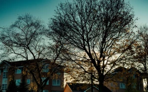 1b6e9f25-ab75-428e-a118-9d495a006555