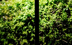 aa2fbe7f-4802-4ea8-b18e-67c350e87d99