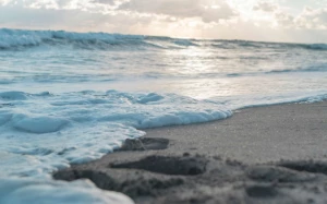 e0a82575-b60b-4d9e-8a92-2abd9b15c272