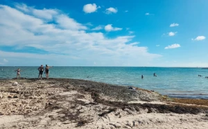 321cfd01-da07-403a-917e-a1ab28c204f1