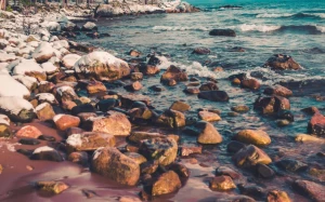 27c1e142-f616-4172-94cc-cc912fdf1d1f