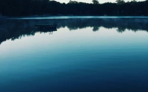 c0ca4cbd-8508-4d21-b616-a91c10ef83e4