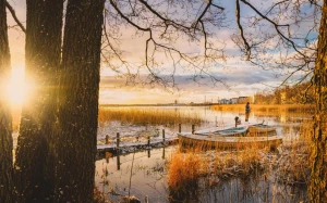 b85607c2-a0de-40b9-b48b-8704794b98b5