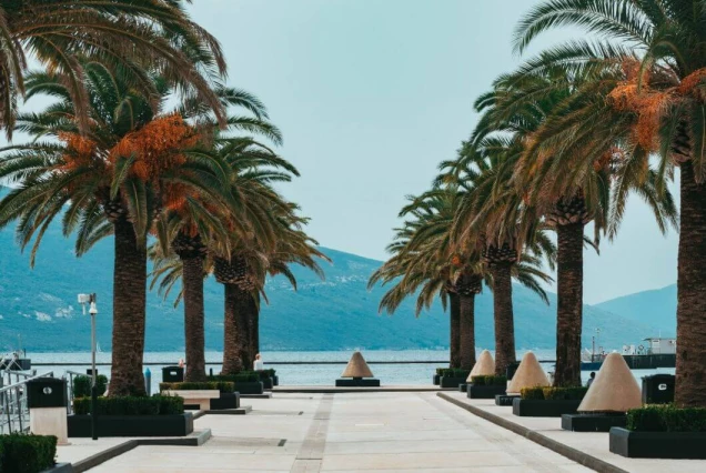 Airport Transfer Tivat