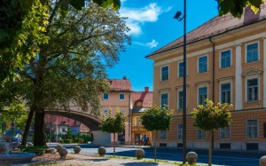 b1e22413-d0af-4ba8-9478-d895f393a2e7