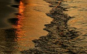 4078f4d4-6e6d-4d1e-a7db-1ec23afedb74