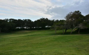 a1c4bf12-0f55-4abf-8495-4c2c5a666da3