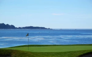 b96914cc-4480-40df-895e-6dd9b8f6bdd6