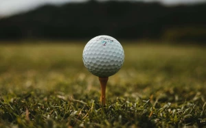 b78e213c-9f26-44b7-a39d-4385a30a8e7b