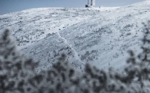 80a1211c-a375-49b7-9c09-67e0411874a6