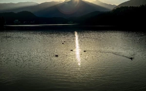 ed97001a-ba23-47db-a764-bffb24c6f9dd