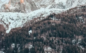 d6508280-8899-46fd-bfea-75904f342a93