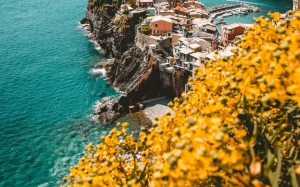 6fc20286-d0eb-4755-9436-0d85ea2b0e64