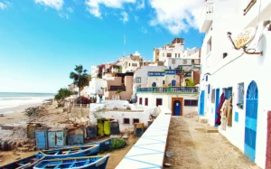 2ba0d19e-45e3-40b7-8aac-7a936183a483