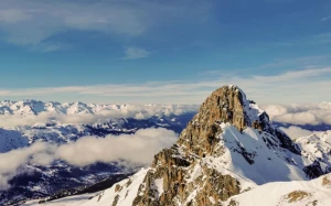 5588e0ad-902c-43f2-affc-2cb6890dd453