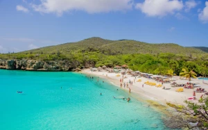 56306fb1-c68a-4a02-a133-9f6a4377d4cc