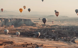 71f59a8a-124e-4a06-b894-f134efd96ac1