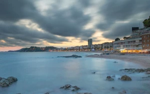 80538a21-a6b8-470e-a5a2-605051e9407c