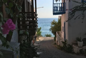 3687a4b6-448c-47a0-a7ce-60fdd6ddc1c6