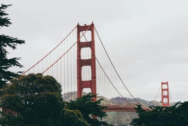 Amerika Birleşik Devletleri Transferleri