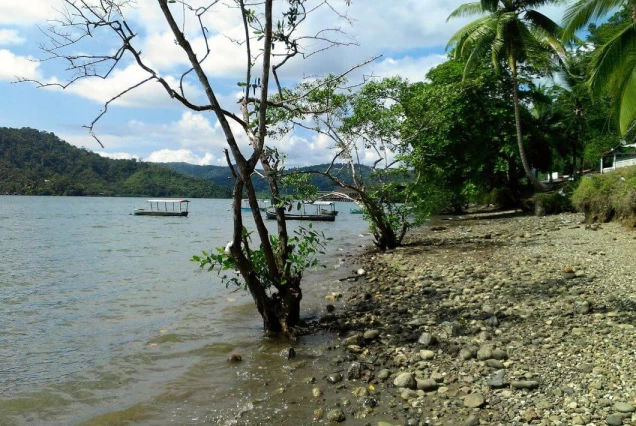 Puerto Jimenez Airport Taxi