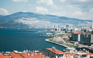 f1e6e0da-a60f-4dae-bb49-0fc8374b2fd0