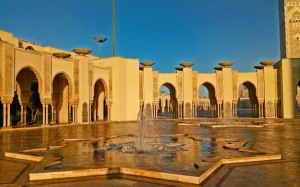 ee788d3a-2ccf-4ff8-9200-0df33435d640