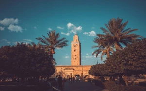 df4ab0fa-ed0b-480f-82be-a30f90864003