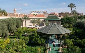 1a15e1b4-5373-475e-9452-e24fe16a87ce