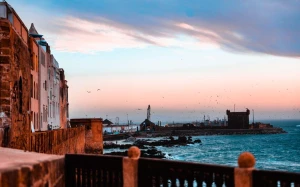 252f6055-0921-476c-b1d2-ecbb775c37af