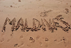 76356deb-087e-40c6-8a9e-5590eac701c7