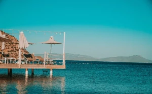 f7f895b9-17b1-4dcb-84cd-f938b7606482