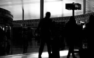 f56c62d4-d245-4752-a3a4-301715e473cf