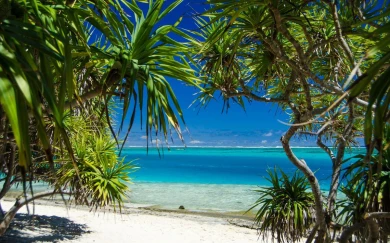 Paradise Island Resorts