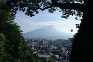 Japan Airport Transfer Taxi