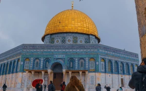 c110086a-81f3-476e-8a76-bca214d2cf9c