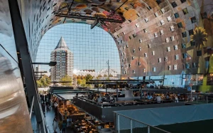 38586b94-8151-49ed-93c5-67e5573a336a