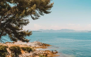 90eeb887-c8e3-4d4d-bc38-f8c334669344