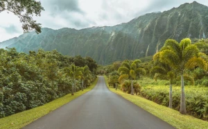 4e834400-1c95-47c9-a6bc-f0248d270288