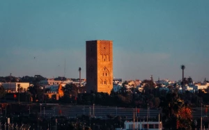 b31c662d-aa6b-4234-abd5-876cf59f4dfd