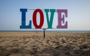 afd27f5e-51a3-4d23-add8-f075775a0141