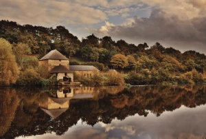 a2c13ece-fe69-4f08-9c54-e840e542b28f