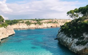 c61dfcac-1e5c-476b-b0fd-0661b601f56a