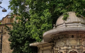 505eea66-0442-4613-b271-73f944988e5b