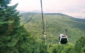 2b976b57-fbe6-4064-bb60-c3bd78c38f6e